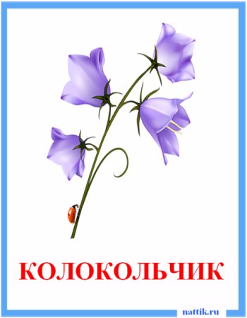 Карточки с изображением цветов