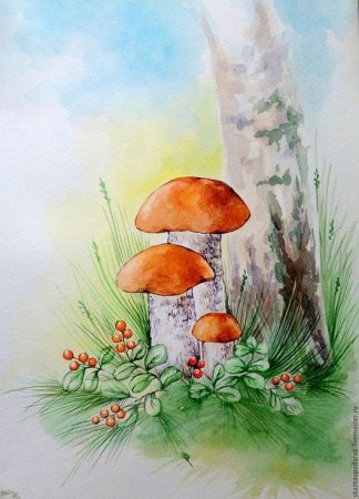 Грибы акварелью