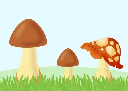 Грибная Полянка для детей
