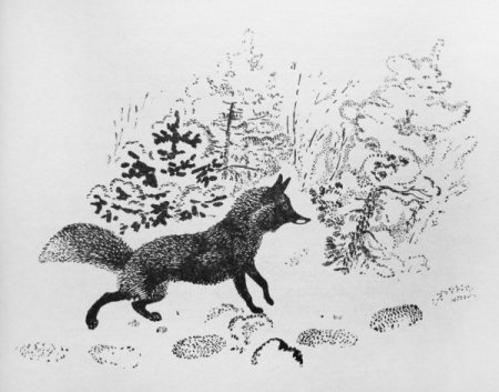 Лисичкин хлеб Михаил пришвин рисунок