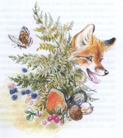 Раскраска лиса