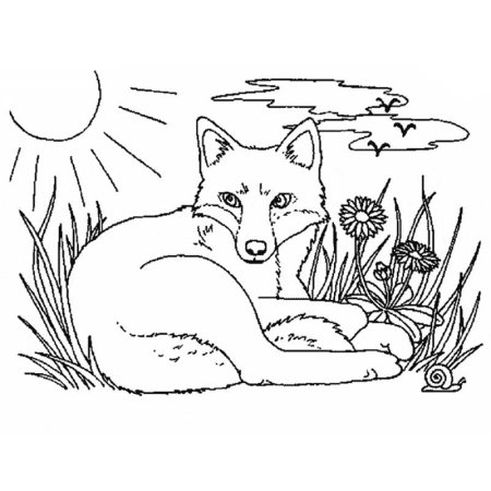 Пришвин м.м. "Лисичкин хлеб"