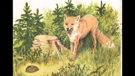 Пришвин Лисий хлеб