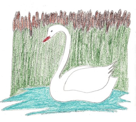 Лебедь рисунок карандашом