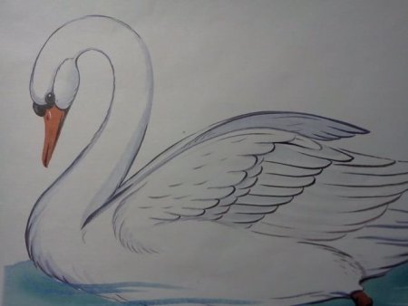 Лебеди гуашью