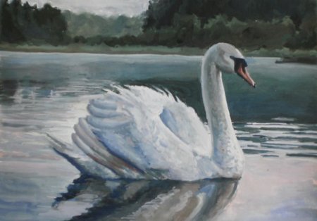 Лебедь рисунок карандашом