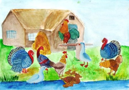 Рисование птичий двор подготовительная группа