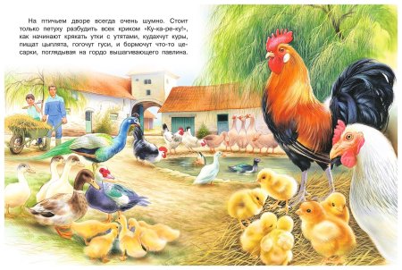 Птичий двор для детей