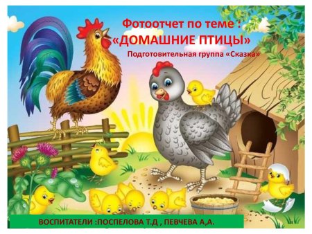 Курица с цыплятами