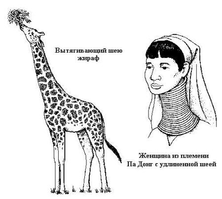 Рисунок с вытянутой шеей