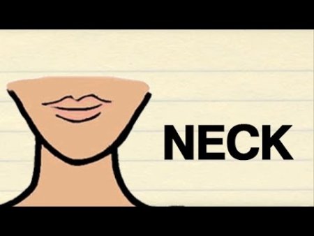 Клипарт Neck
