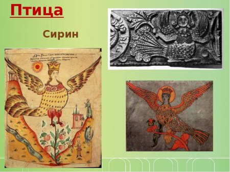 Птица Сирин 5 класс