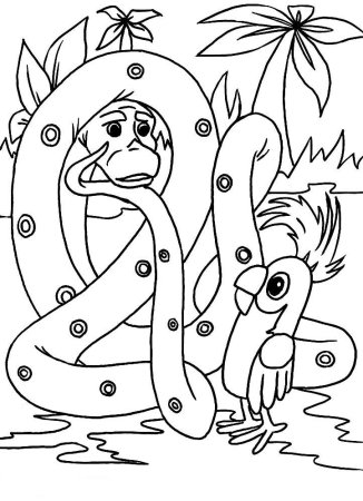 38 Попугаев раскраска удав