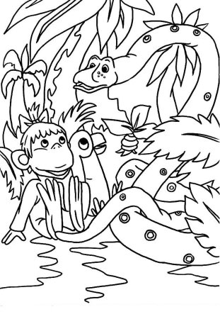 Попугай из мультика 38 попугаев на белом фоне