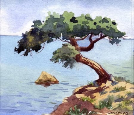 Обрыв сосны живопись