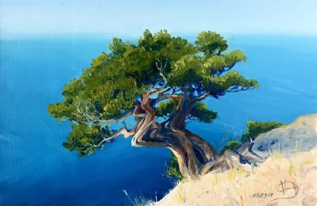 Экорисунок можжевельники Крыма