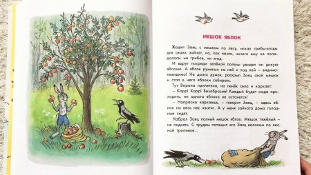 Сутеев художник иллюстратор детских книг