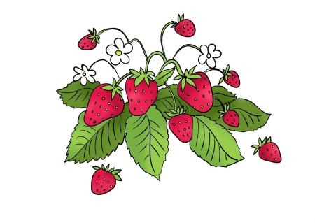 Ягоды рисунок 40