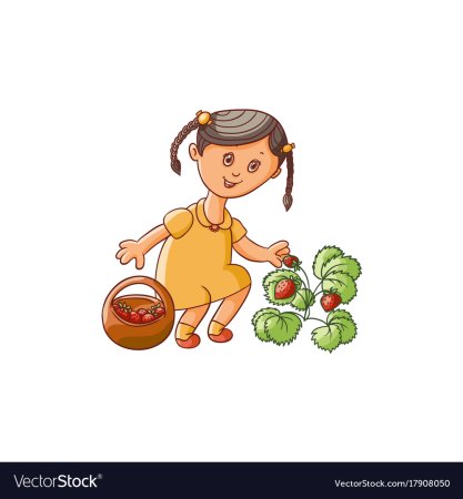 Собирать ягоды мультяшная