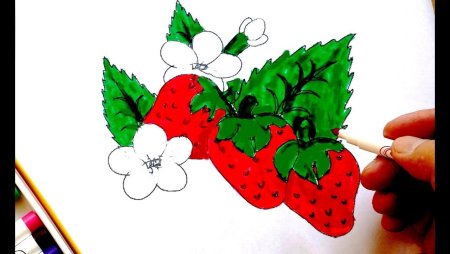 Поэтапное рисование клубники