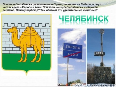 Верблюд на гербе Челябинска