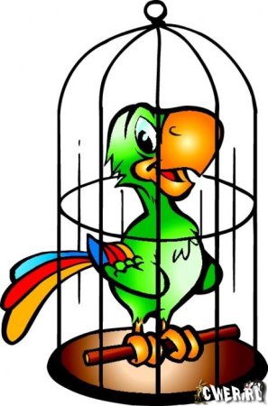 Клетка для попугая