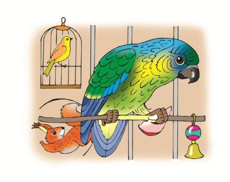 Клетка для попугая