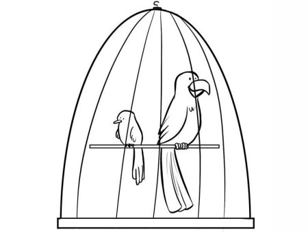 Клетка для попугая