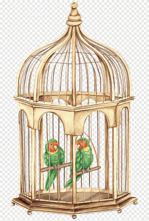 Клетка с попугаем
