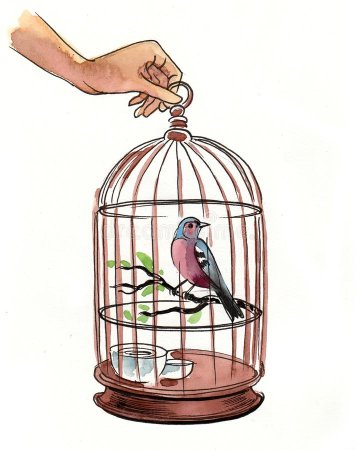 Птица в клетке акварель