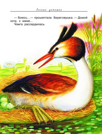 Бианки Лесные домишки раскраска к рассказу