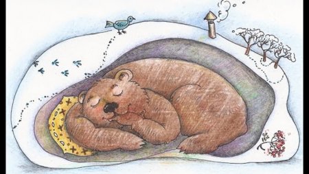 Медведь в спячке