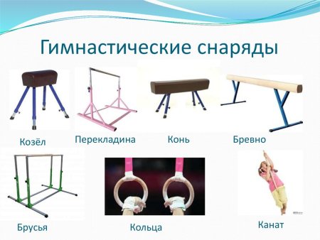 Предметы и снаряды для физкультуры