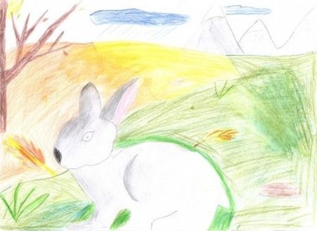 Листопадничек Соколов-Микитов рисунок