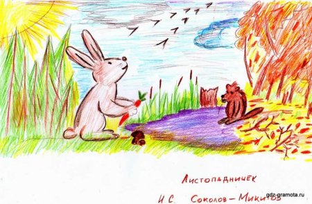 Листопадничек Соколов-Микитов рисунок