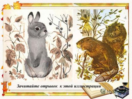 Солов Листопадничек сказка смотреть