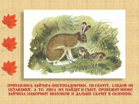 Листопадничек Соколов-Микитов