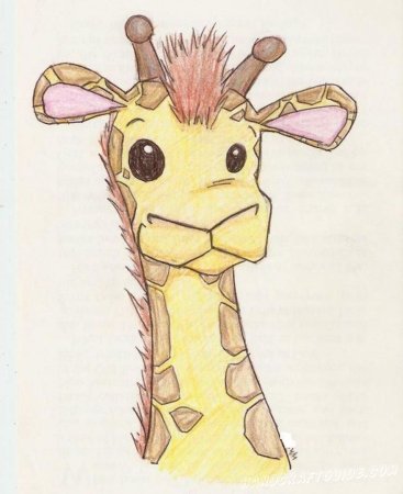 Жираф рисунок для срисовки