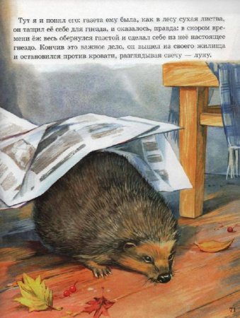 Михаил пришвин рассказ еж