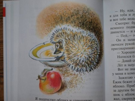 Скребицкий еж