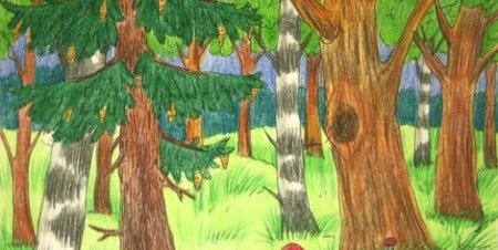 Детские рисунки леса карандашом