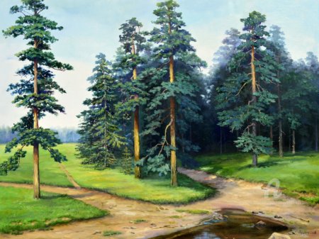 Пейзаж сосны