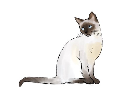 Сиамская кошка раскраска