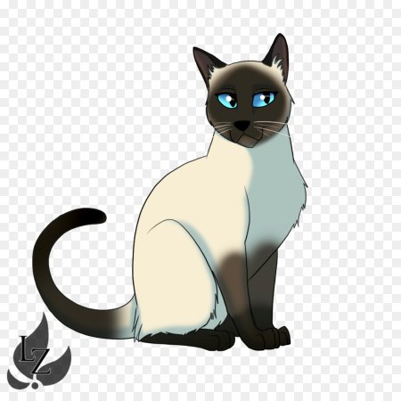 Коты Воители Сиамская кошка