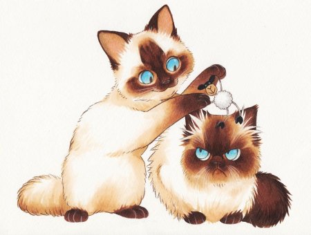 Мультяшные сиамские кошки