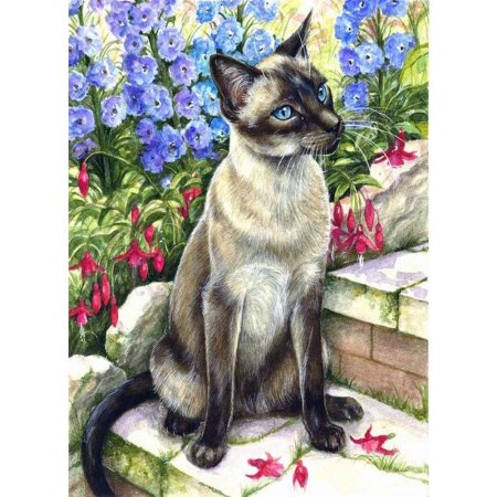 Сиамская кошка картина