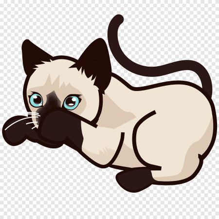 Сиамская кошка