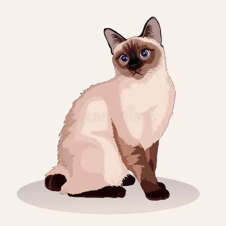 Нарисовать тайскую кошку