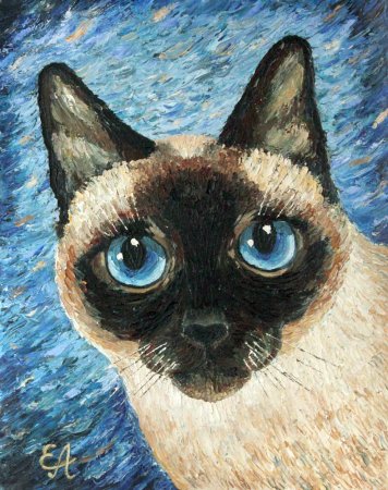 Сиамская кошка живопись