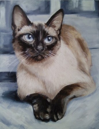 Сиамская кошка картина